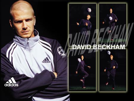 david beckham